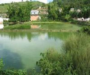 街中自然村 街中自然村