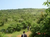 東葛店村 東葛店村