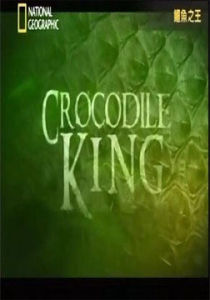 鱷魚之王 鱷魚之王