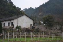 代家溝村[山西左雲縣鵲兒山鎮下轄村]