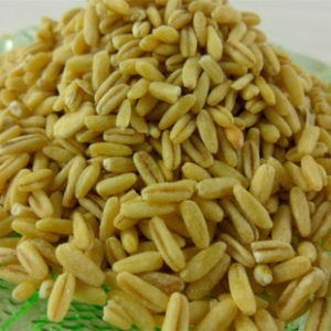 晉燕13號 晉燕13號