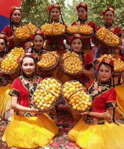 英吉沙色買提杏 英吉沙色買提杏