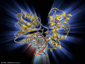 情況聚合 情況聚合