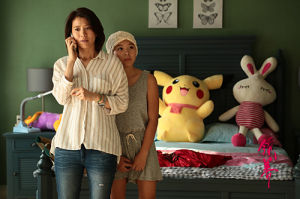 電視劇《領養》