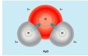 新生態氧 新生態氧