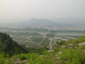 山東省蒙陰縣坦埠鎮諸夏村 山東省蒙陰縣坦埠鎮諸夏村