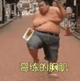 哥練的胸肌 哥練的胸肌