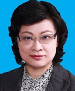 金暉[北京市東城區委副書記、區長]