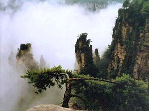 合肥公交總公司旅行社