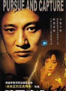 跨國追逃 跨國追逃