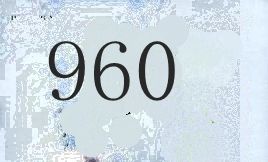 960 960