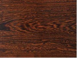 斯圖崖豆木 斯圖崖豆木