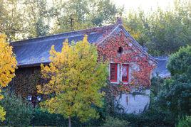 靜園六院 靜園六院