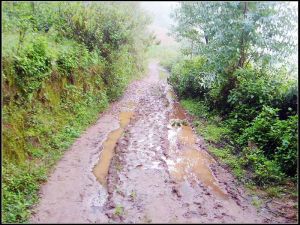 八士自然村 八士自然村