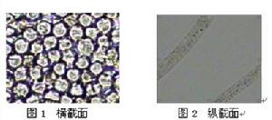 聚乳酸纖維顯微鏡觀察試驗