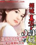 傾城王爺小小妃 傾城王爺小小妃
