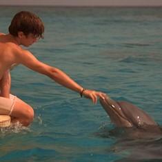 海豚的故事-劇照