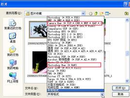 電子格式照片 電子格式照片