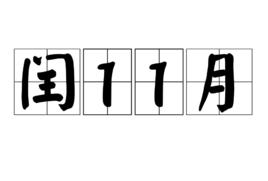 閏11月 閏11月