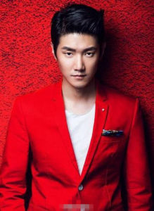 王晰[中國內地流行樂男低音歌手]