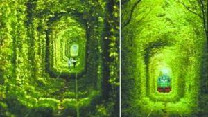 愛情隧道[烏克蘭一條私營鐵路線的路段]