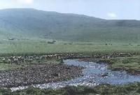 青海牧區 青海牧區