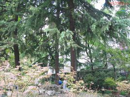 上海天目公園 上海天目公園