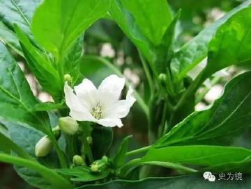 網路配圖 網路配圖