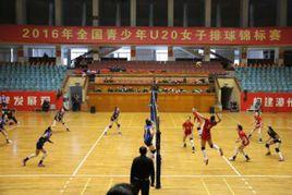 2016年全國青少年U20女排錦標賽 2016年全國青少年U20女排錦標賽