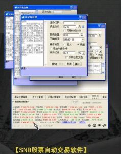 SNB自動交易