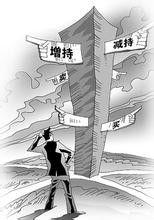 持股集中度 持股集中度