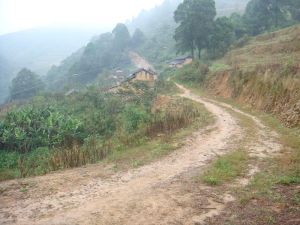 酒房箐自然村 酒房箐自然村