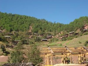 老地盤村 老地盤村