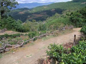 瓦怒卜村 瓦怒卜村