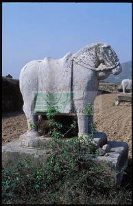 景陵西側仗馬