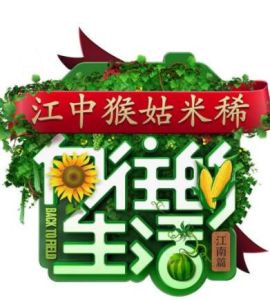 嚮往的生活第二季 嚮往的生活第二季