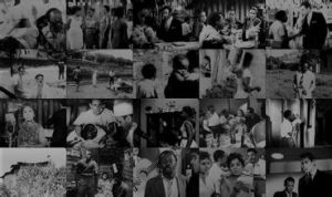 《里約40度》 《里約40度》