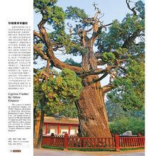 黃帝陵[天下第一陵：橋山黃帝陵]