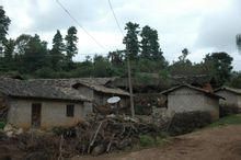東雞哨村 東雞哨村