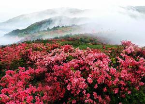 江西聖井山風景區