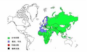 白鵜鶘世界分布