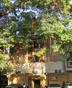 深滬灣海底森林