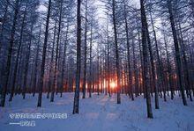 布蘇里旅遊區 冬季冰雪
