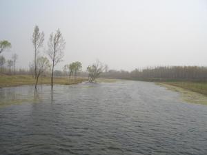 黃家莊[山東省高密市經濟開發區黃家莊]