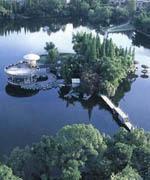 榕湖杉湖 榕湖杉湖