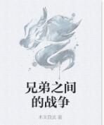 兄弟之間的戰爭