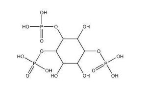 甘露糖磷酸肌醇 甘露糖磷酸肌醇