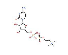 胞二磷膽鹼 胞二磷膽鹼