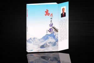 《高度決定視野》 《高度決定視野》