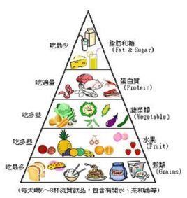 營養金字塔